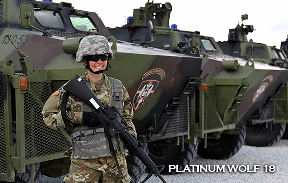 Porter in gear standing in front of military vehicles.