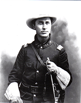 Illustration of Greys