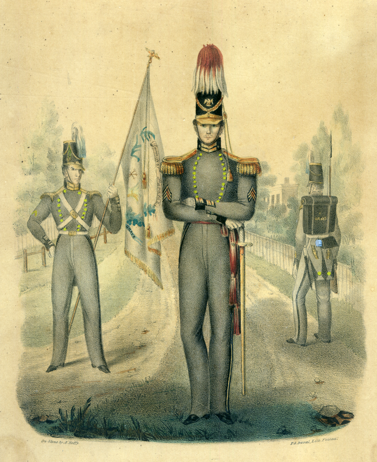 Illustration of Greys