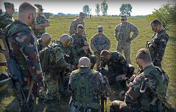 Serbian Armed Forces infantrymen join with Hungarian army infantrymen to conduct Exercise Neighbors 2015.