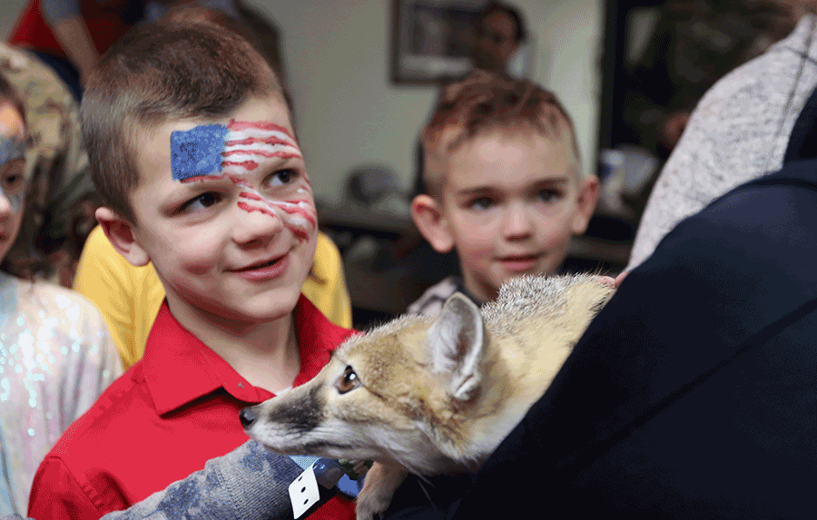 Boys pet fox held by zoo staff.