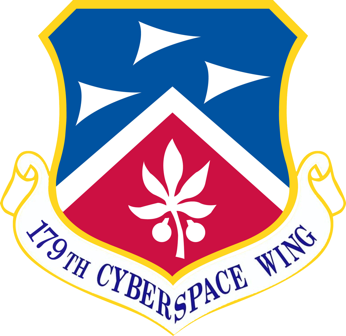 179th Cyberspace Wing patch