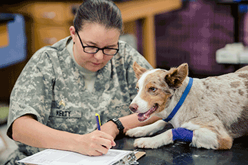 Sgt. Alicia Kelty records vital statistics for dog.