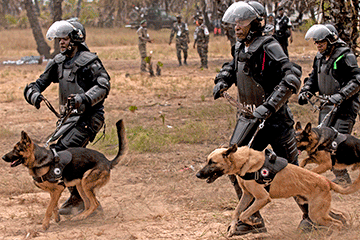 Members of the Angolan police forces demonstrate a response with k-9s to a riot situation during a simulated epidemic infectious disease outbreak during the demonstration.