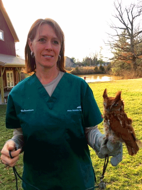 Maj. Gwendolyn Hoogendoorn holds an Eastern Screech Owl outside building.